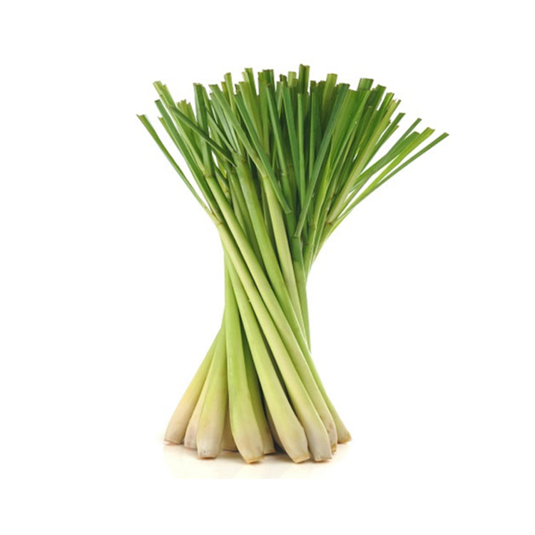 Fresh Lemon Grass